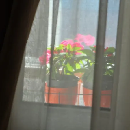 Mini Hotel 2*