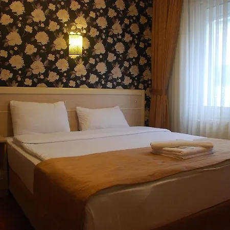 Hotel Mini 2*