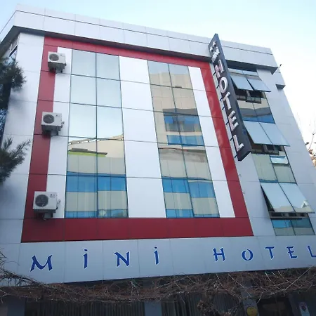 Mini 2*